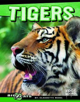 Hardcover Tigers Book