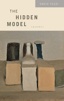 Paperback The Hidden Model Book