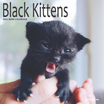 Paperback Black Kittens Calendar: 2021 Monthly Planner Book