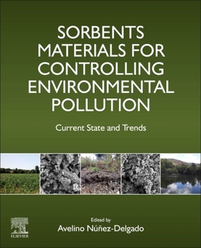 Paperback Sorbents Materials for Controlling Environmental Pollution: Current State and Trends Book