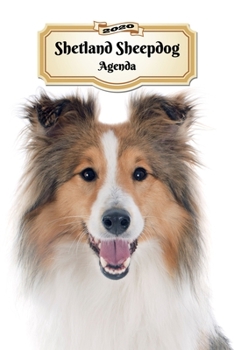 2020 Shetland Sheepdog Agenda: 107 Pagine - Dimensioni DIN A5 - Pianificatore Settimanale - 12 Mesi - Due Pagine Per Settimana - Calendario - Diario - Cane