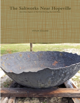 Paperback The Saltworks Near Hopeville Book