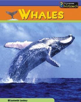 Hardcover Whales Book