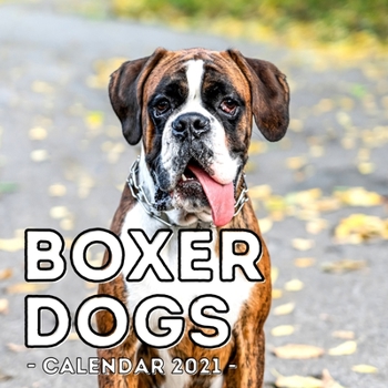 Paperback Boxer Dogs Calendar 2021: 16-Month Calendar, Cute Gift Idea For Boxer Dog Lovers Men & Women Book