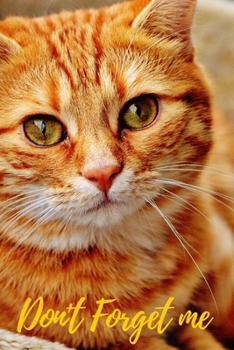 Paperback Don't Forget Me: Look into Cat Eyes.Internet Password Logbook with alphabetical tabs.Personal Address of websites, usernames, passwords [Large Print] Book