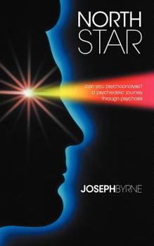 Paperback North Star: Can You Psychoanalyse? a Psychedelic Journey Through Psychosis Book