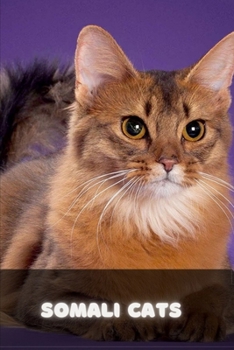 Paperback Somali Cats - A Complete Guide Book