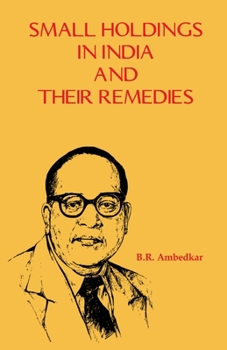 Paperback Small Holdings in India and their Remedies Book