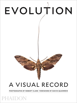 Hardcover Evolution: A Visual Record Book