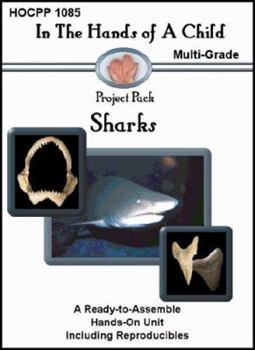 Spiral-bound Sharks Book