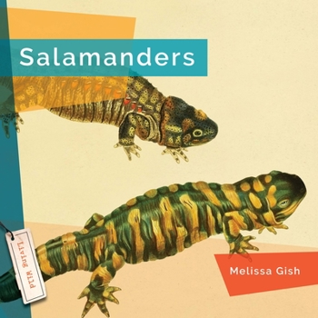 Hardcover Salamanders Book