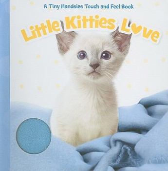 Board book Little Kittens Love Book