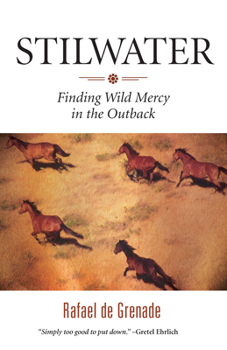 Paperback Stilwater: Finding Wild Mercy in the Outback Book