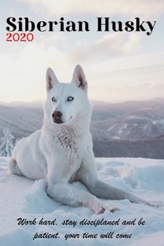 Paperback Siberian Huskies 2020: Cute Dogs Puppy Animals Chukcha Canine, Animal Dog Breeds Husky, Loving and Smart Book