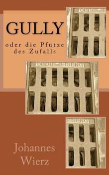 Paperback Gully Oder Die Pfuetze Des Zufalls [German] Book