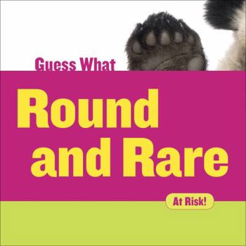 Library Binding Round and Rare: Giant Panda Book