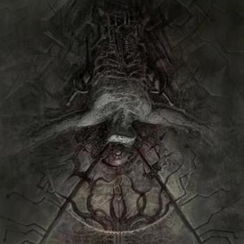 Vinyl Disavowed  And Left Hopeless Book