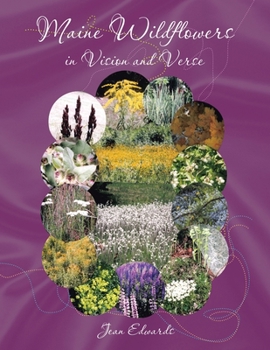 Paperback Maine Wildflowers in Vision and Verse Book