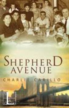 Paperback Shepher Avenue Book