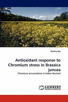 Paperback Antioxidant response to Chromium stress in Brassica juncea Book