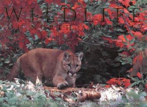 Hardcover Wildlife of North America Book