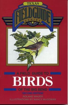 Paperback A Field Guide to Birds of the Big Bend Book