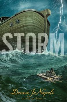 Hardcover Storm Book