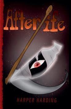 Paperback AfterLife Book