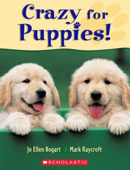 Paperback Crazy for Puppies Book