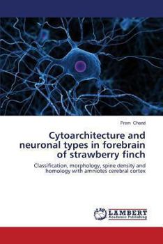 Paperback Cytoarchitecture and Neuronal Types in Forebrain of Strawberry Finch Book