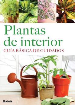 Plantas de interior: Guía básica de cuidados