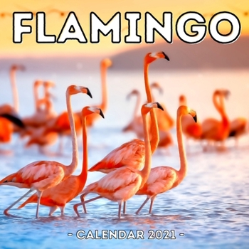 Paperback Flamingo Calendar 2021: 16-Month Calendar, Cute Gift Idea For Women & Men Book