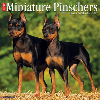 Calendar Just Mini Pinschers 2021 Wall Calendar (Dog Breed Calendar) Book