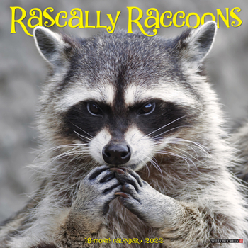 Calendar Rascally Raccoons 2022 Wall Calendar Book