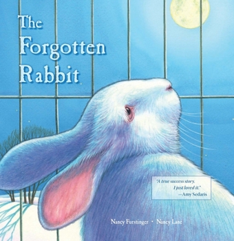 Hardcover The Forgotten Rabbit Book