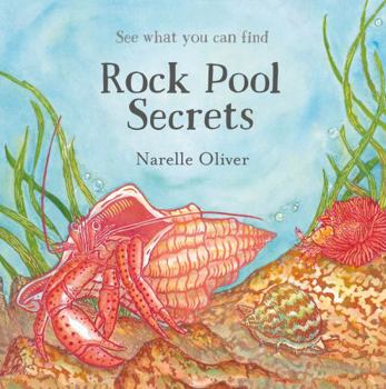 Hardcover Rock Pool Secrets Book