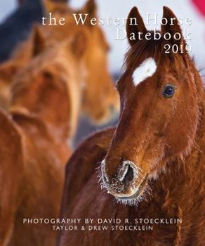 Spiral-bound 2019 Western Horse Datebook Book