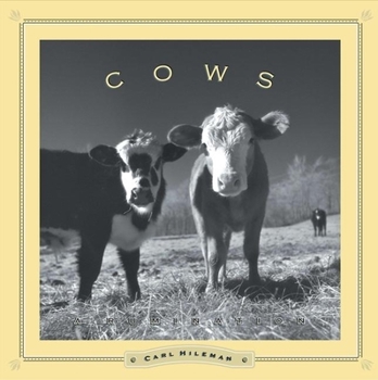 Paperback Cows: A Rumination Book