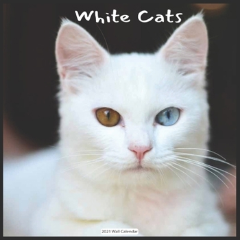 White Cats 2021 Wall Calendar: Official White Cats 2021 Wall Calendar