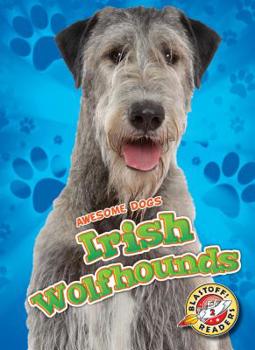 Irish Wolfhounds - Book  of the Awesome Dogs