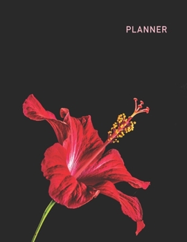 Paperback Planner: Hibiscus 2 Year Weekly Planning Organizer - 2020 - 2021 - January 20 - December 21 - Writing Notebook - Productive Dat Book