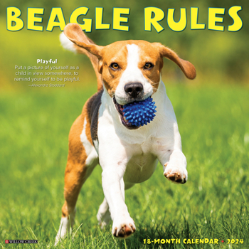 Calendar Beagle Rules 2024 12 X 12 Wall Calendar Book