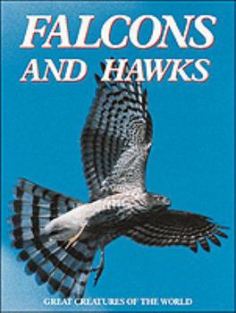 Hardcover Falcons and Hawks Book