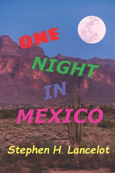 Paperback One Night In Mexico Book