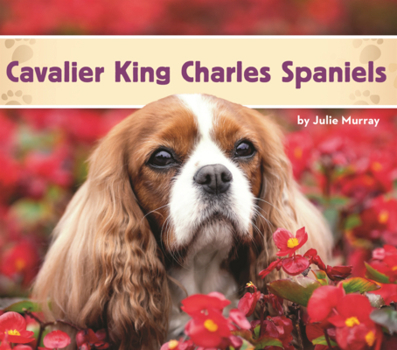 Cavalier King Charles Spaniels