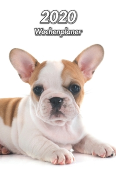 2020 Wochenplaner: Französische Bulldogge Welpe | 107 Seiten, 15cm x 23cm ca. A5 | Taschenkalender | Terminplaner | Tagebuch | Terminkalender | Organizer für Hundeliebhaber (German Edition)