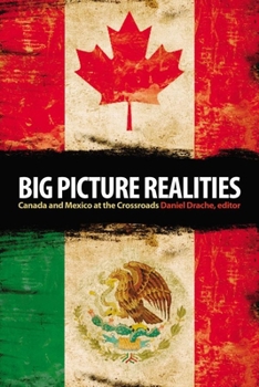 Paperback Big Picture Realities: Canada and Mexico at the Crossroads Book