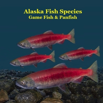 Alaska Game Fish and Panfish Species Kids Book: Great Book About the Different Types of Fish in Alaska