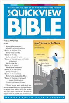 Hardcover Quickview Bible-NIV: Visual Snapshots of God's Word Book
