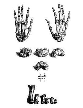 Anatomy Notebook: Bones of the Hand - Andreas Vesalius Anatomy Art College Ruled Notebook | 110 Pages (Andreas Vesalius White Cover)